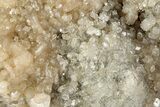Stilbite Crystals and Micro Apophyllite on Heulandite - India #348353-1